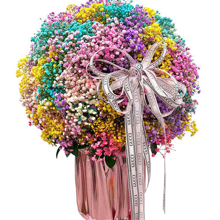 Rainbow Garden Flowers Vietnam