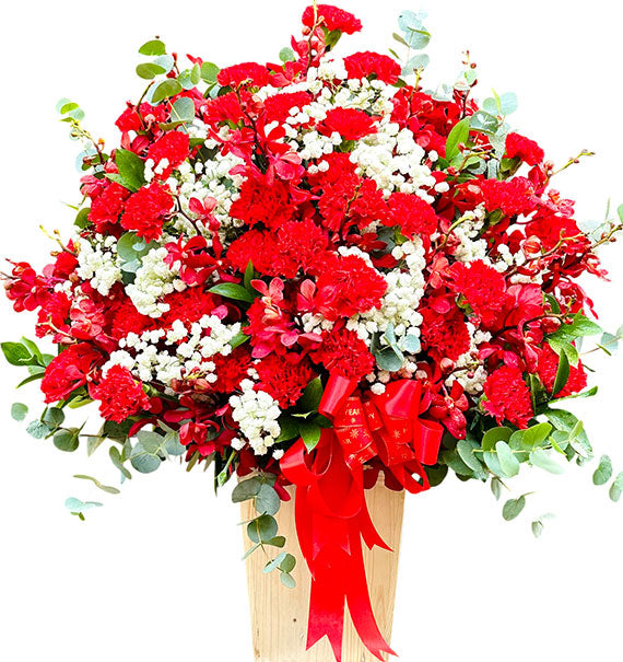 Red Orchid & Carnation Vietnam