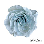 24 stems / Sky Blue