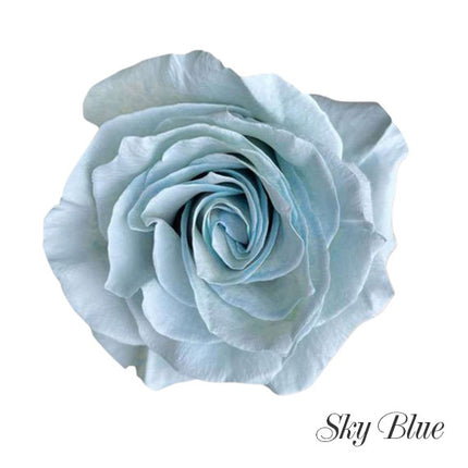 Light Blue Ecuador Rose Bouquet (Pre-Order)