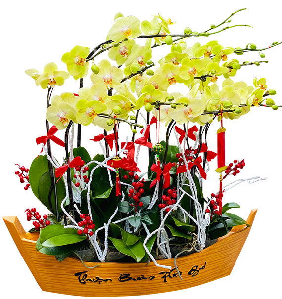 Special Potted Orchids Vietnam