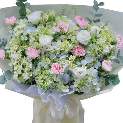 Spring Green Hydrangea Vietnam