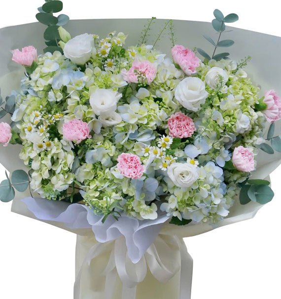 Spring Green Hydrangea Vietnam