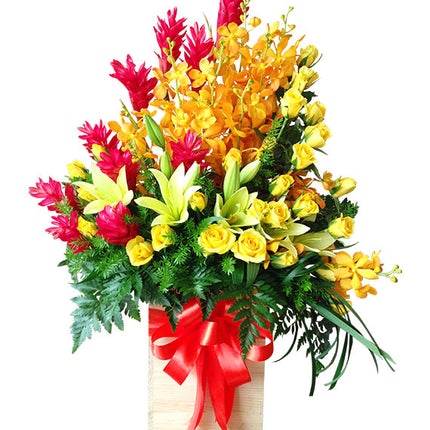 Summer Bloom Flowers Vietnam