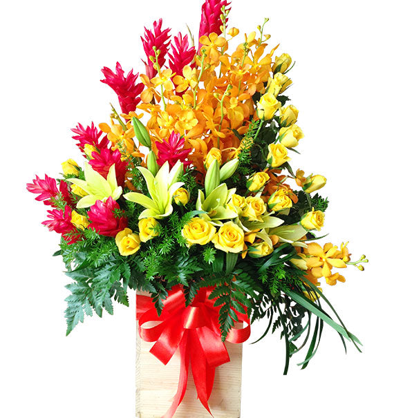 Summer Bloom Flowers Vietnam