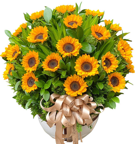 Sunflowers In Ceramic Pot Vietnam