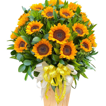 Sweet Friendship Sunflowers Vietnam