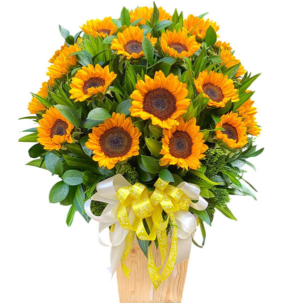 Sweet Friendship Sunflowers Vietnam
