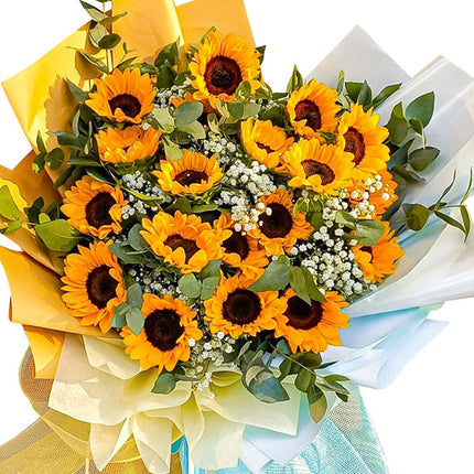Sweet Love Song Sunflowers Vietnam