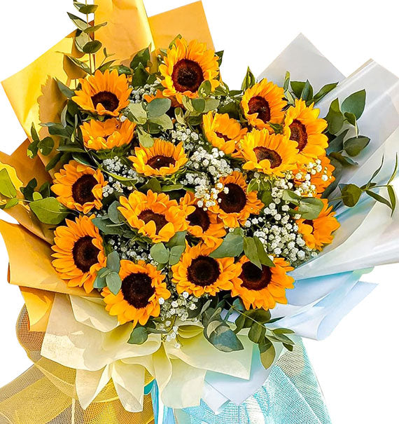 Sweet Love Song Sunflowers Vietnam