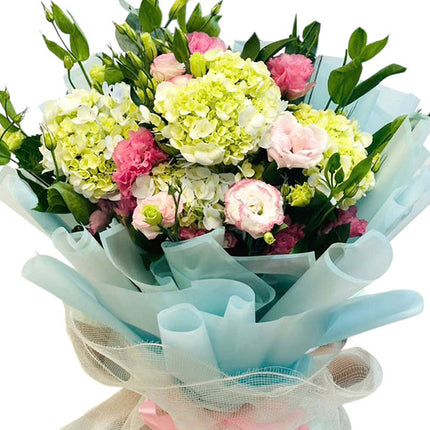Sweet Serenity Hydrangeas Vietnam