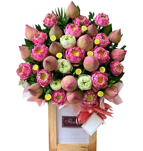 Symbol Of Harmony Flowers Vietnam