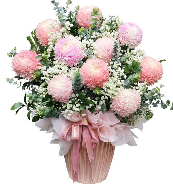 Tender Thoughts Flowers Vietnam