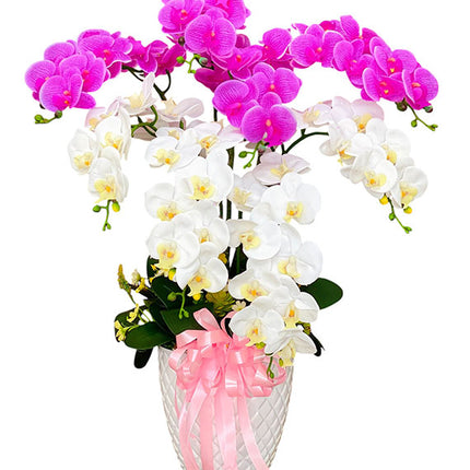 Tet Artificial Potted Orchid Plant Vietnam
