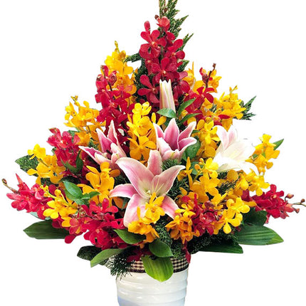 Tet Blooming Good Luck Vietnam