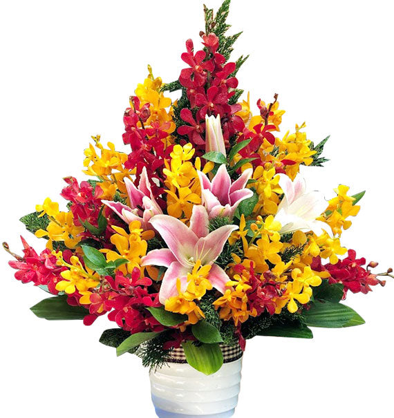 Tet Blooming Good Luck Vietnam