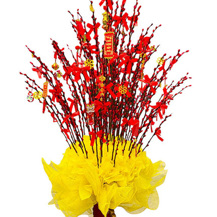 Tet Blooming Spring Buds Vietnam