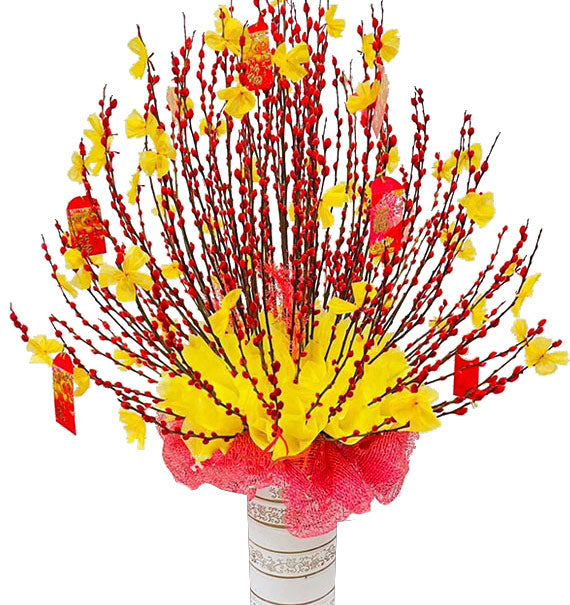 Tet Blossom of New Hope Vietnam
