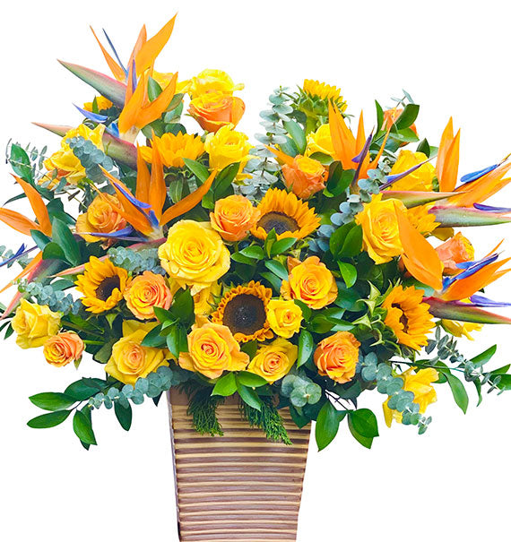 Tet Blossoms of Prosperity Vietnam