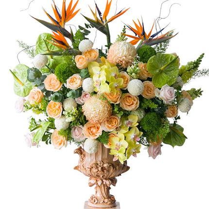 Tet Floral Spring Fortune Vietnam