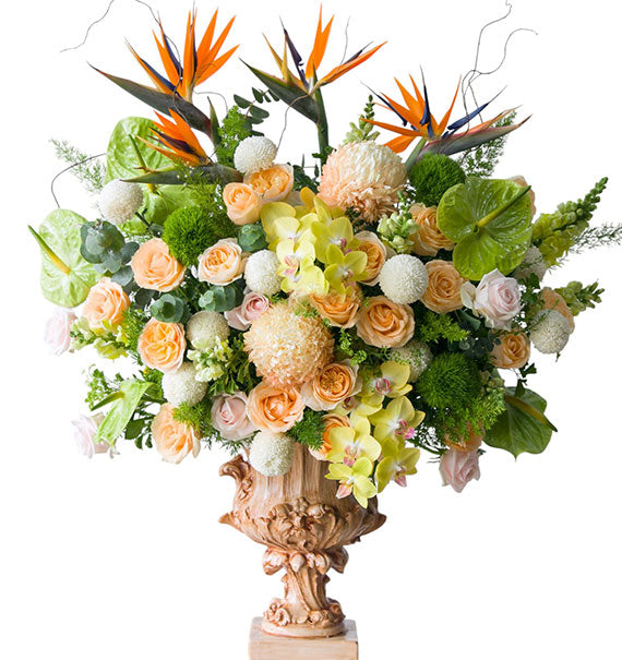 Tet Floral Spring Fortune Vietnam