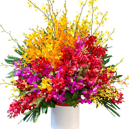 Tet Garden of Blessings Vietnam