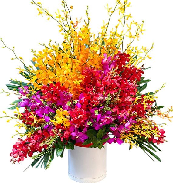 Tet Garden of Blessings Vietnam