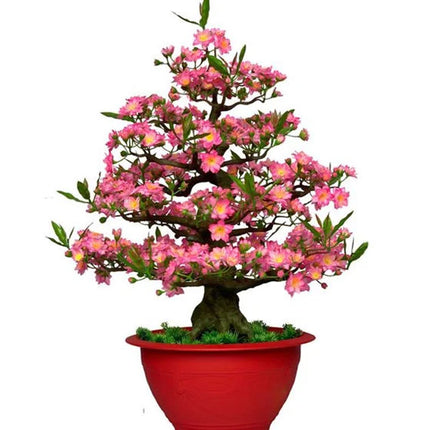 Tet Hoa Dao Artificial Flowers Plant Vietnam