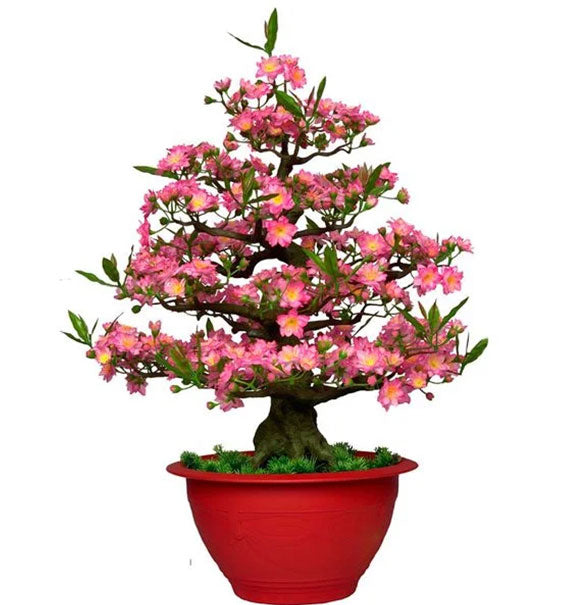 Tet Hoa Dao Artificial Flowers Plant Vietnam