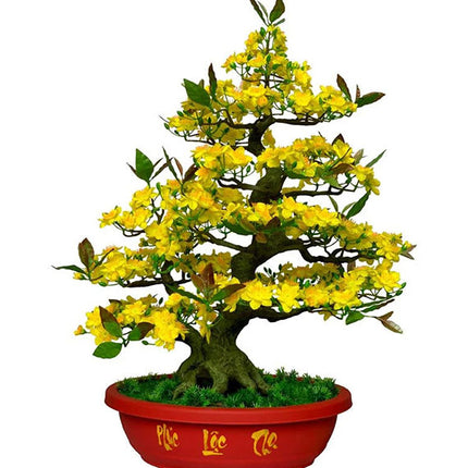 Tet Hoa Mai Artificial Flowers Plant Vietnam