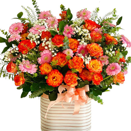 Tet Spring Blossom Delight Vietnam