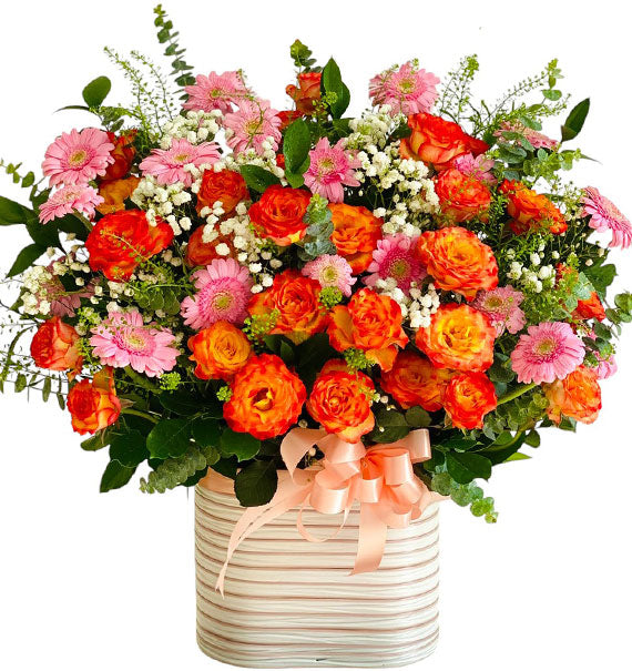 Tet Spring Blossom Delight Vietnam