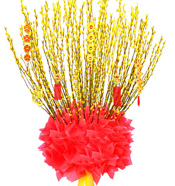 Yellow Singapore Peach-Tree 1m6 Vietnam