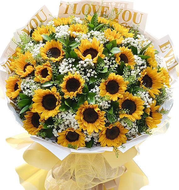 The Youth Sunflowers Vietnam