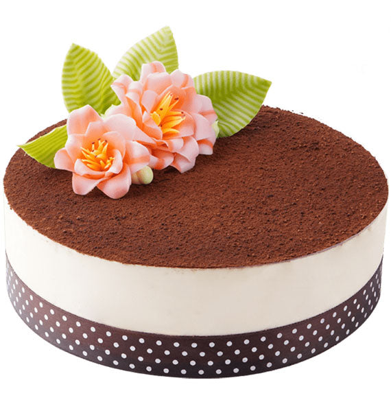 Tiramisu Cake Pas M4