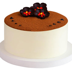 Tiramisu Simple Cake Savoure Vietnam