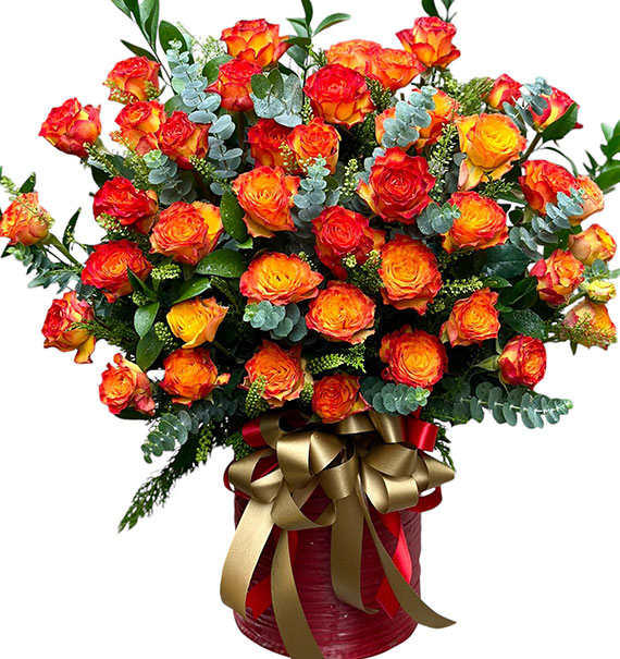 Touch Me and Feel Me Flowers Vietnam
