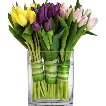 Tulips In Vase Vietnam