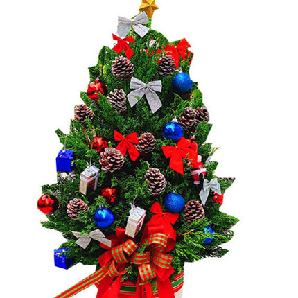 Twinkling Joy Xmas Tree Vietnam