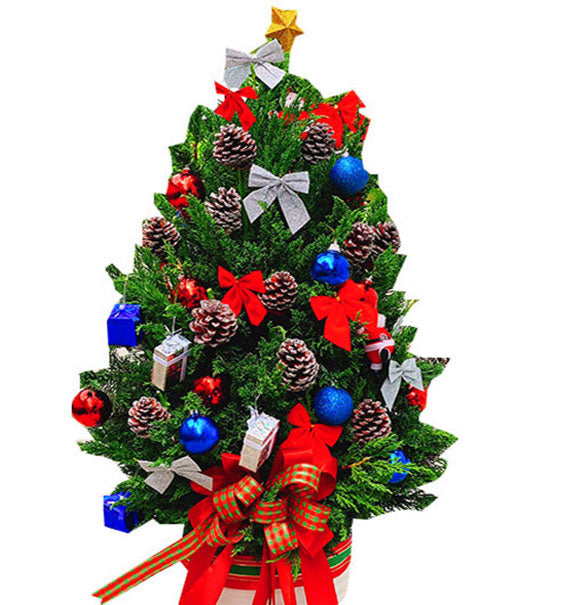 Twinkling Joy Xmas Tree Vietnam