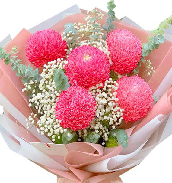 Valentine's Day Red Symphony Vietnam