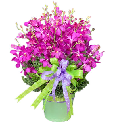 Vase Of Orchid