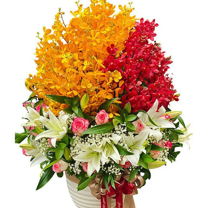 Vase Of Premium Orchids Vietnam