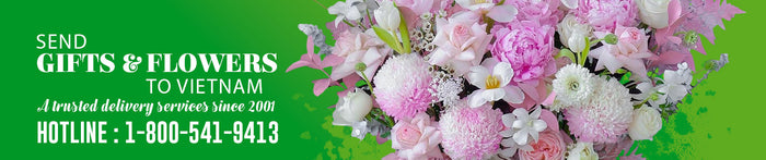 vietgifts online banner homepage