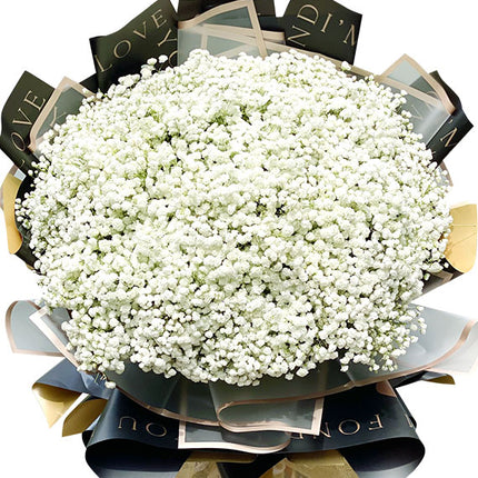 Vietnamese Women's Day Baby Breath’s Flower