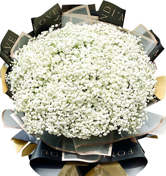 Vietnamese Women's Day Baby Breath’s Flower