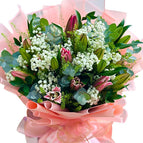 Pink Lily