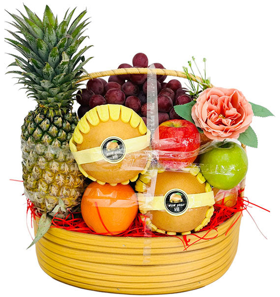 Wellness Fruit Gifts Vietnam