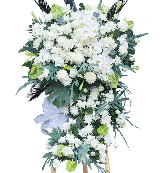 White Farewell Standing Spray Vietnam