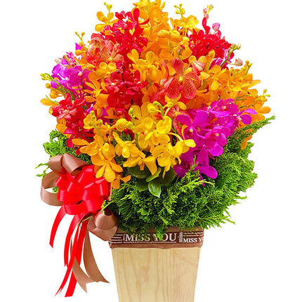 Women's Day Orchid Basket Vietnam
